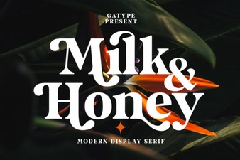Discover the Milk and Honey Font for Creative Designs